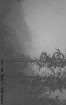 Niedertracht : Dunkel Walde der Nacht